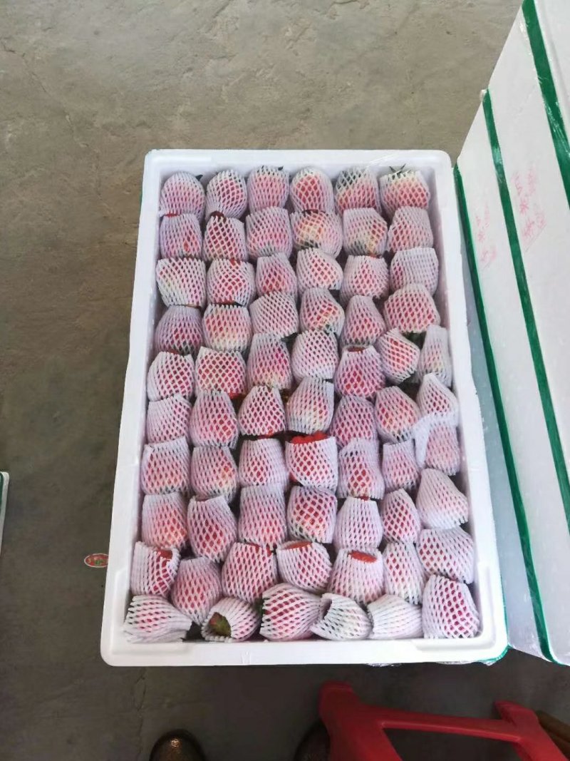甜宝草莓30~40克