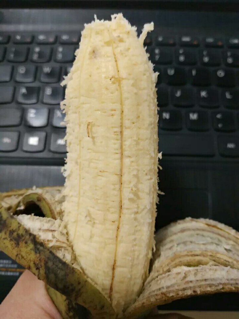 新鲜芭蕉，九斤装