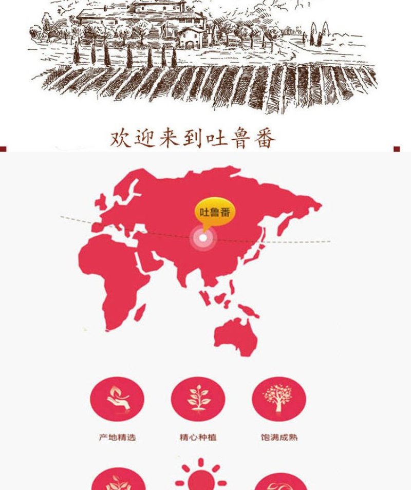 新疆吐鲁番绿香妃马奶子葡萄干，香妃王