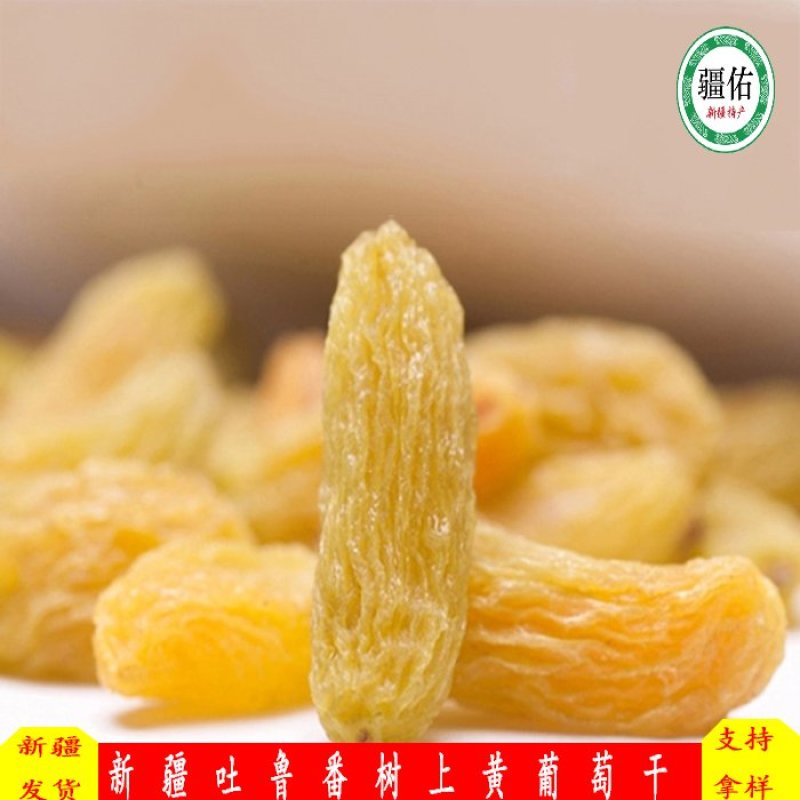 新疆吐鲁番树上黄葡萄干，美味香甜
