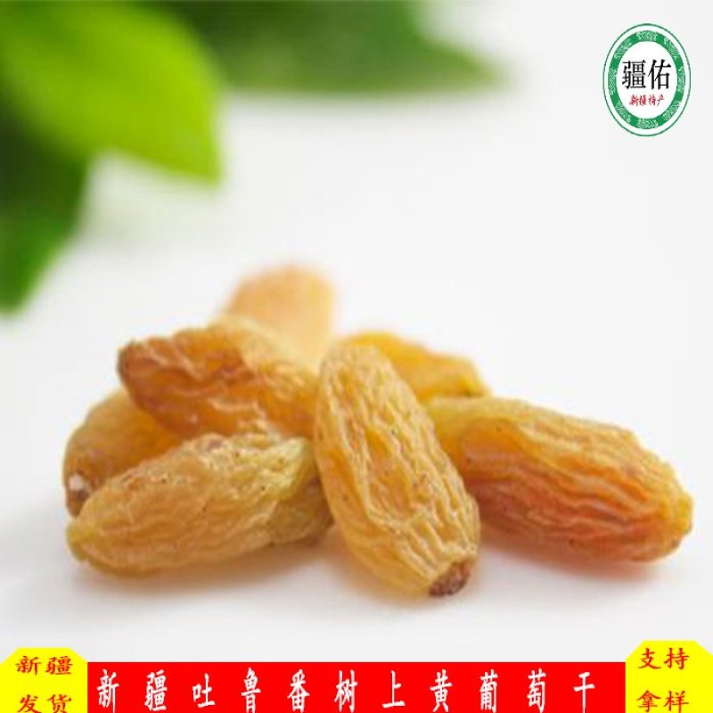 新疆吐鲁番树上黄葡萄干，美味香甜