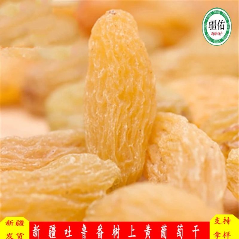新疆吐鲁番树上黄葡萄干，美味香甜