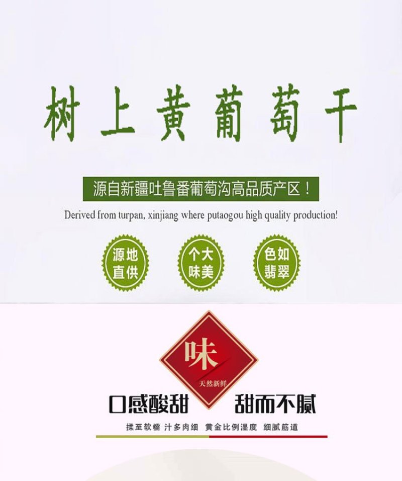 新疆吐鲁番树上黄葡萄干，美味香甜
