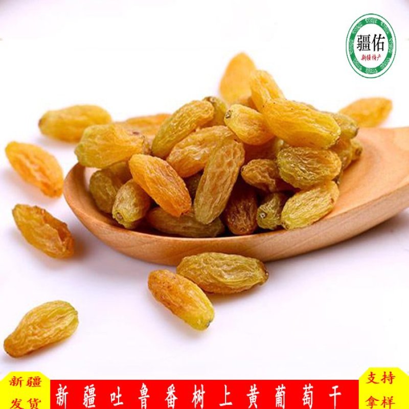新疆吐鲁番树上黄葡萄干，美味香甜