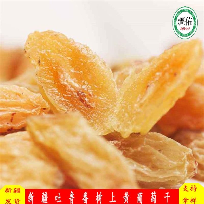 新疆吐鲁番树上黄葡萄干，美味香甜