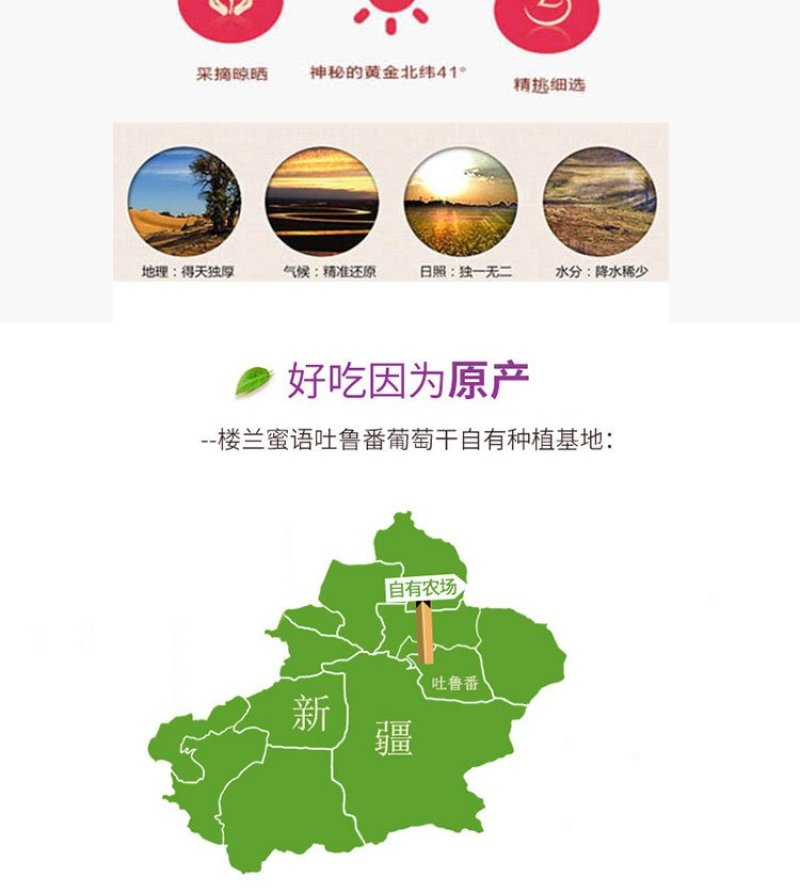 新疆吐鲁番树上黄葡萄干，美味香甜