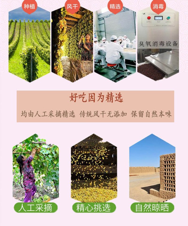 新疆吐鲁番树上黄葡萄干，美味香甜