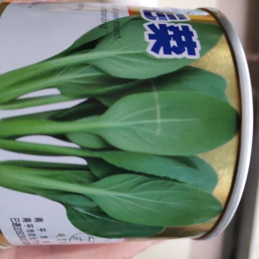 鸡毛菜种子耐热耐雨抗病生长速度快夏秋两季均可种植
