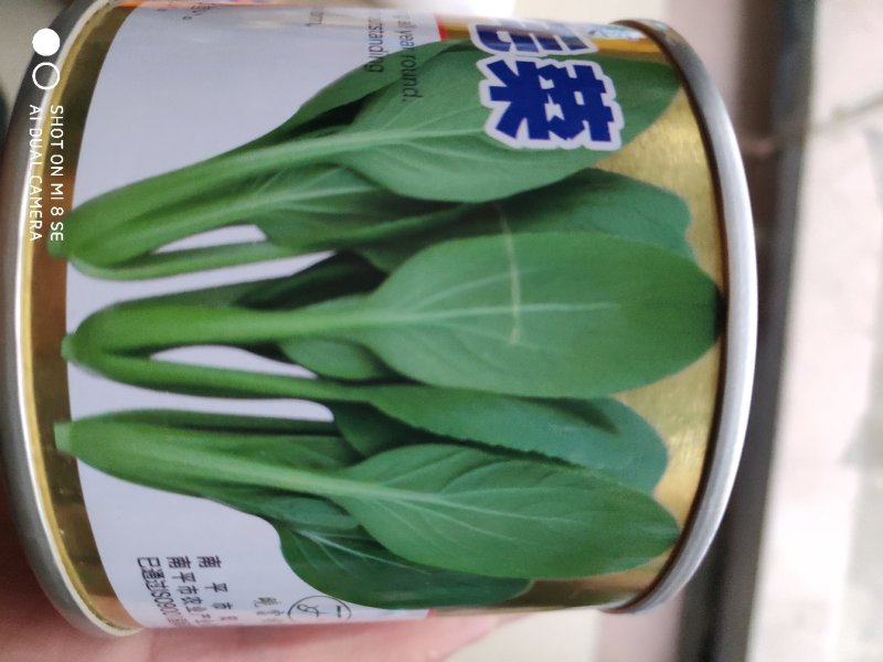 鸡毛菜种子耐热耐雨抗病生长速度快夏秋两季均可种植