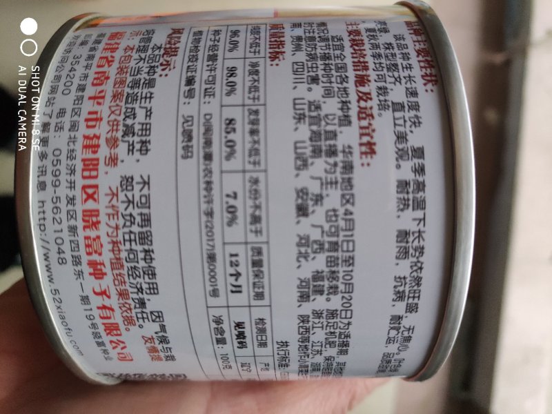 鸡毛菜种子耐热耐雨抗病生长速度快夏秋两季均可种植
