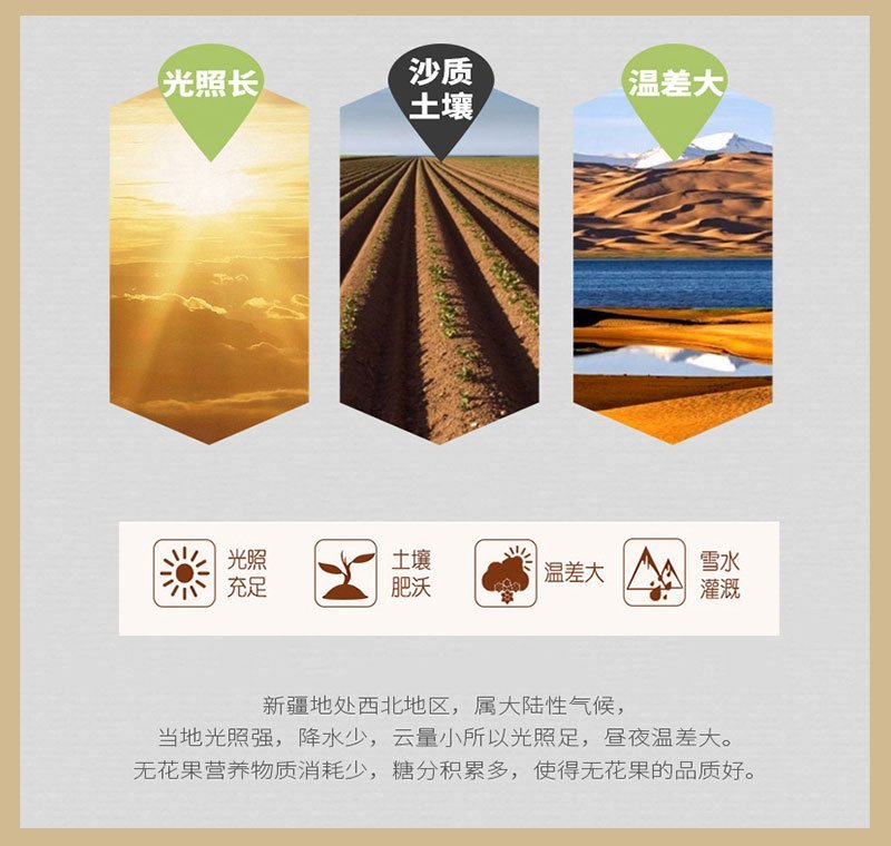 新疆无花果特级货，产地直发