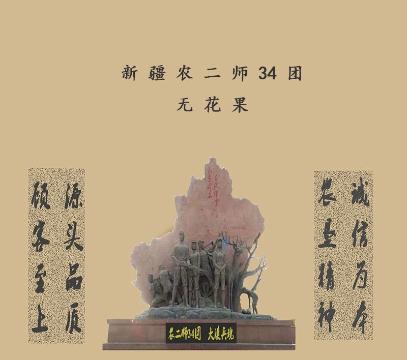 新疆无花果特级货，产地直发