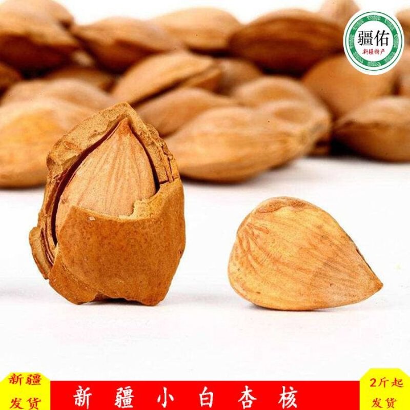 新疆小白杏仁，轮台小白杏核