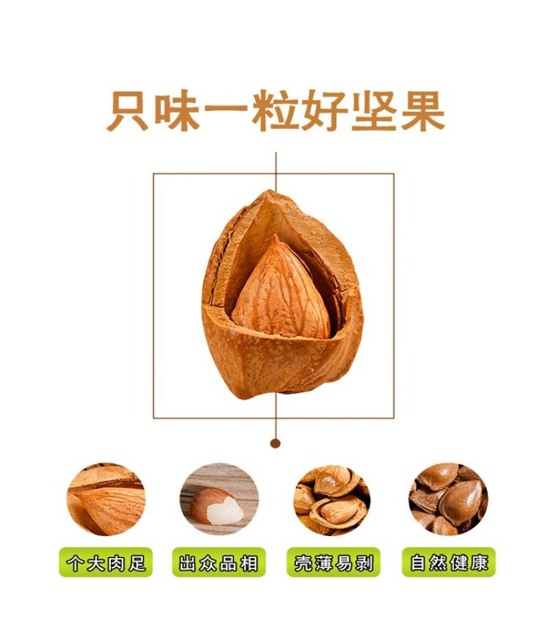 新疆小白杏仁，轮台小白杏核