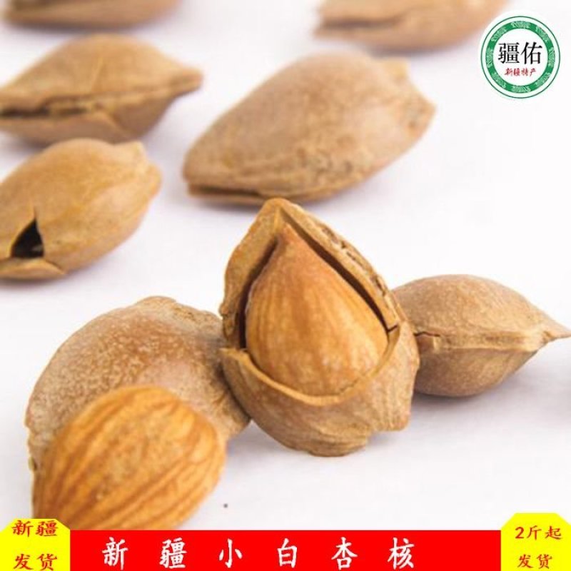 新疆小白杏仁，轮台小白杏核