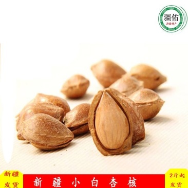 新疆小白杏仁，轮台小白杏核