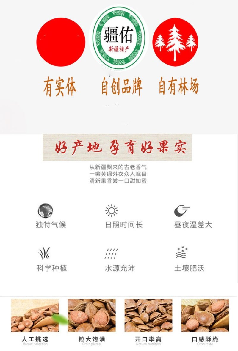 新疆小白杏仁，轮台小白杏核