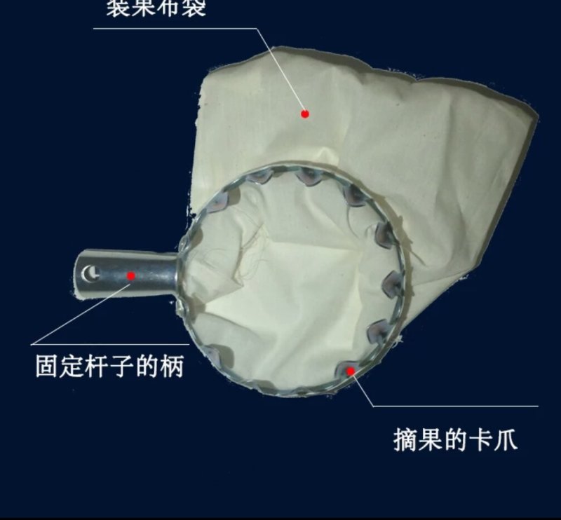 买就送高空伸缩摘果剪采摘器果高枝剪摘果器修枝剪枇杷桃杨梅