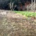有好货：100亩红土地低价出租，高海拔，可以种植药材