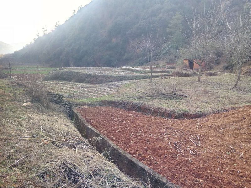有好货：100亩红土地低价出租，高海拔，可以种植药材