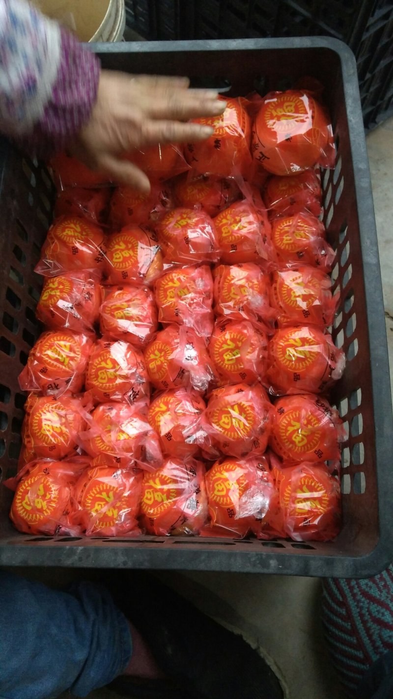 椪柑芦柑储存果大量供货口感非常好