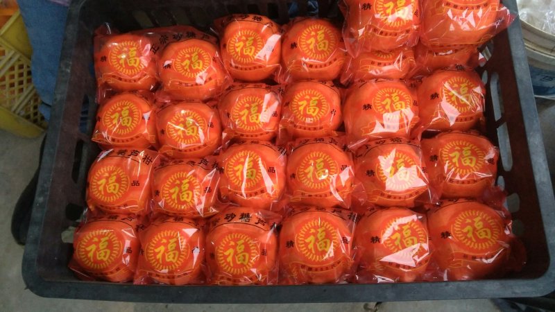 椪柑芦柑储存果大量供货口感非常好