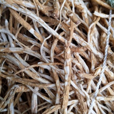 金铁锁