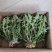 山野菜