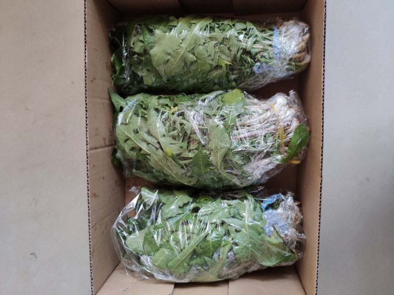 山野菜