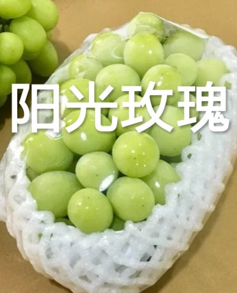 施肥器厂价直销包邮包售后