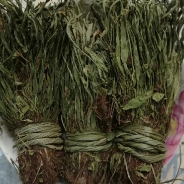 马蹬草过桥草还阳草小石韦中药材500g包邮