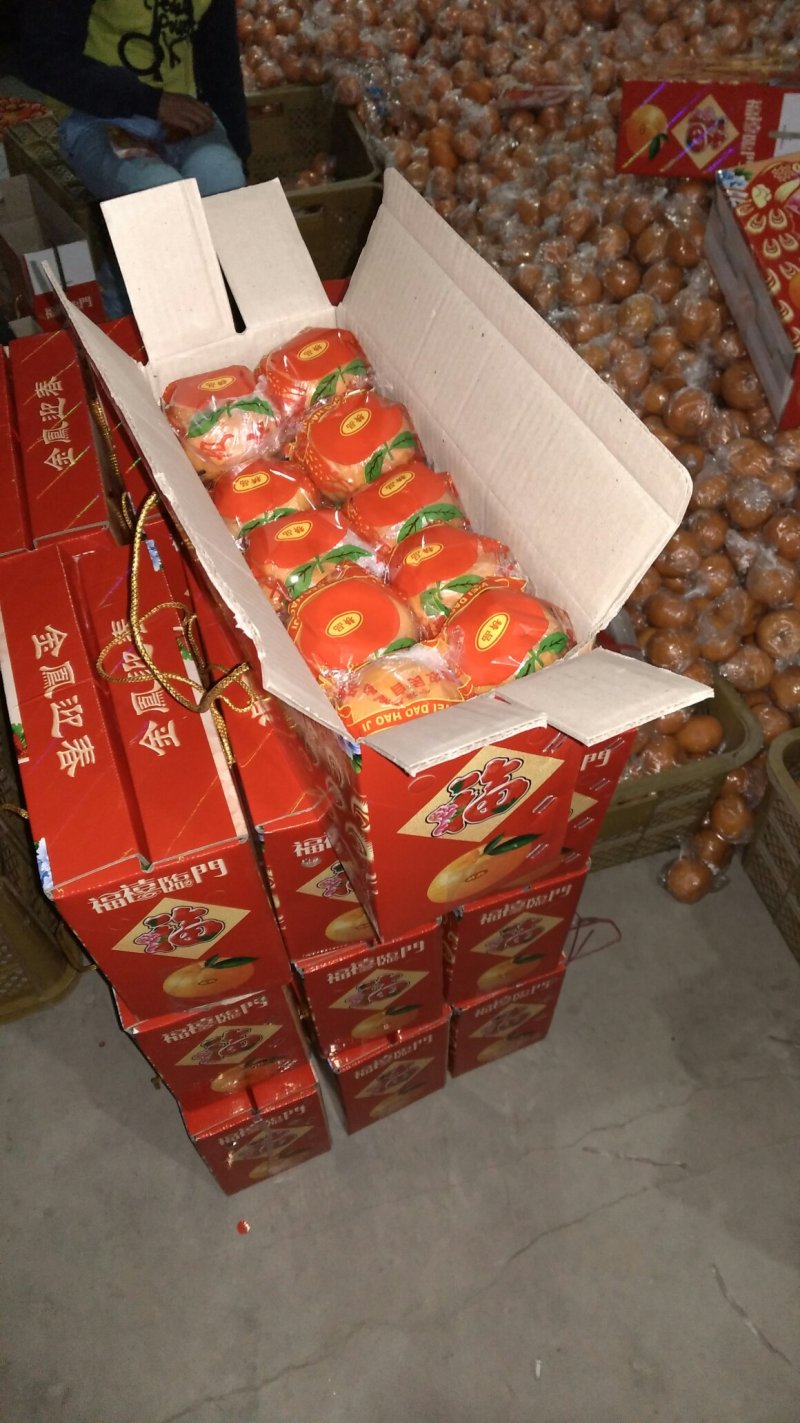 芦柑椪柑储存果大量供货口感非常