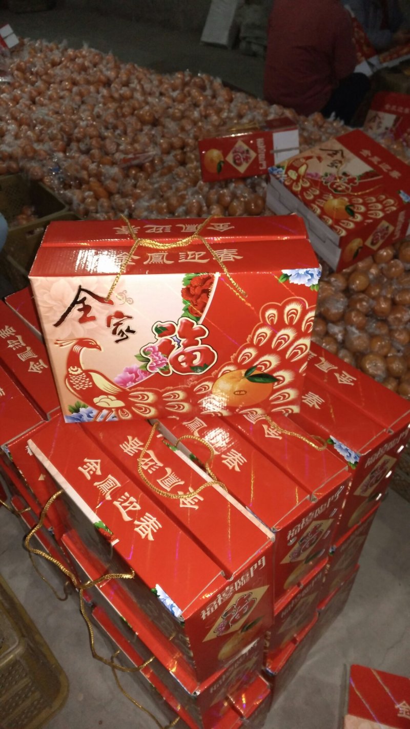 芦柑椪柑储存果大量供货口感非常