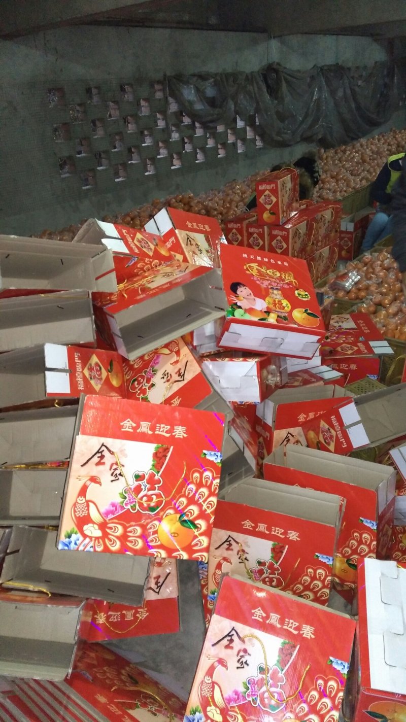 芦柑椪柑储存果大量供货口感非常