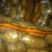 张家口沽源大窖土豆出库形好个大属性好。出售各种土豆