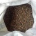 野山茶籽珍珠茶籽霜降茶籽