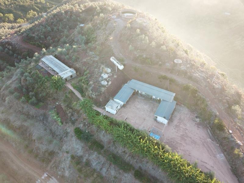 有好货：2350亩油橄榄基地转让，水电路房齐全，可以分转