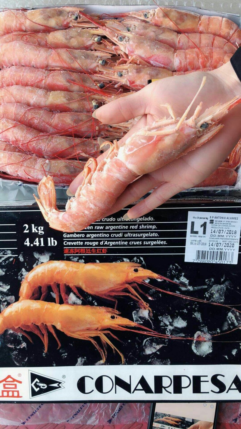 阿根廷红虾