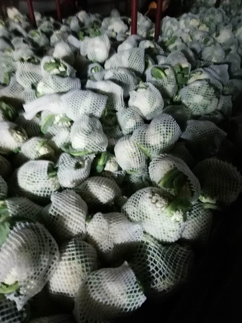 有机菜花