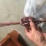 牛鞭干货煲汤放养牛鞭泡酒材料