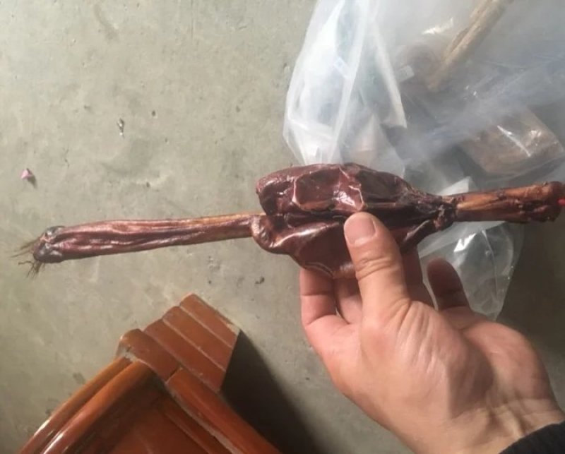 牛鞭干货煲汤放养牛鞭泡酒材料