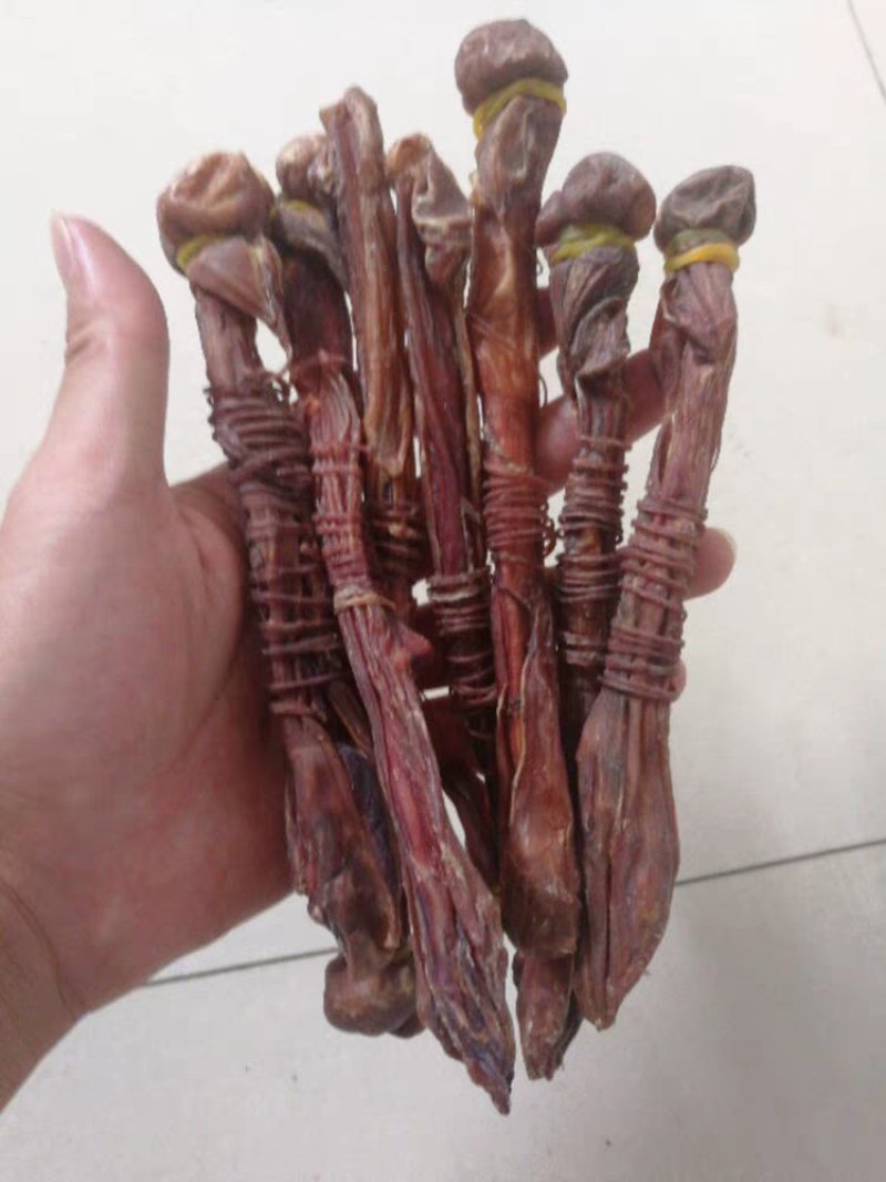 牛鞭干货煲汤放养牛鞭泡酒材料