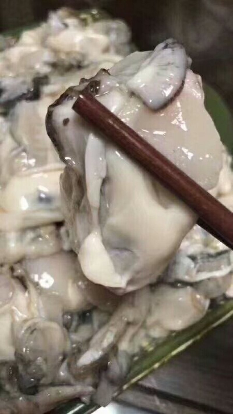 高品质牡蛎热销