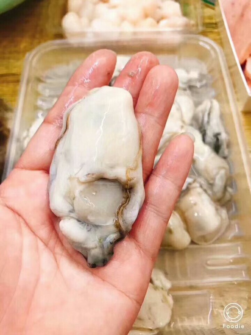 高品质牡蛎热销
