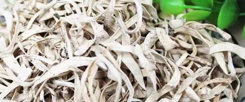 白雪茶