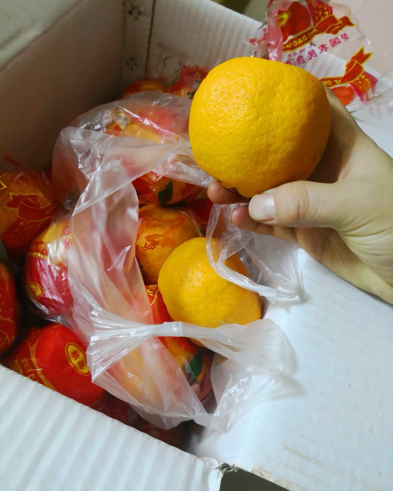 芦柑碰柑芦柑