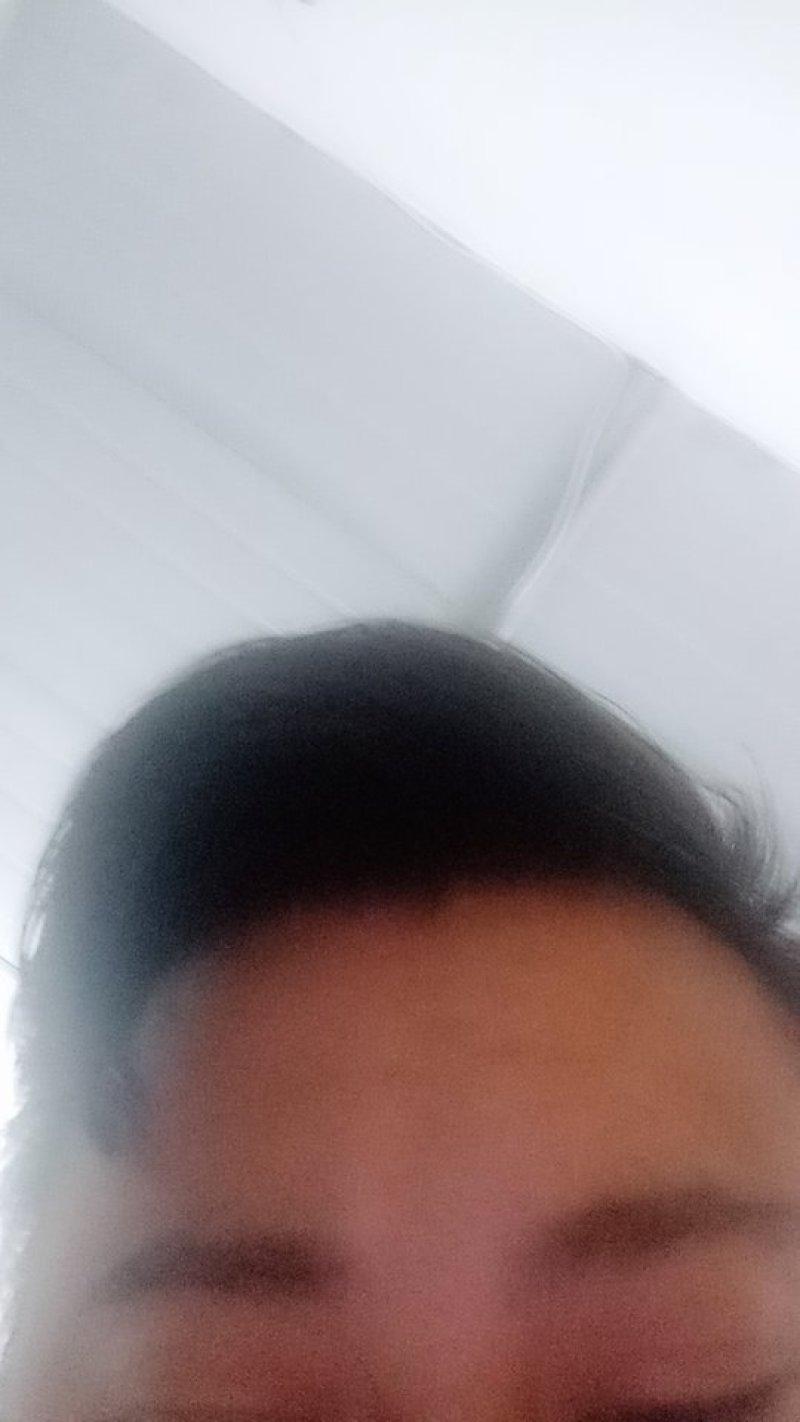 乐陵金丝小枣专卖