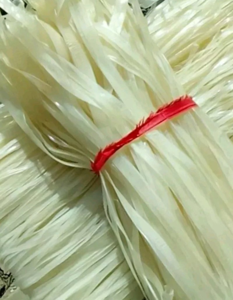 粉条