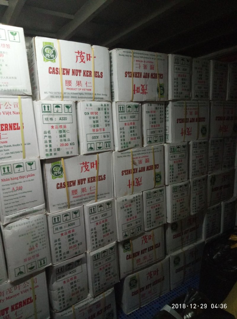 茂叶A320带皮腰果紫衣腰果10kg/桶2桶/箱
