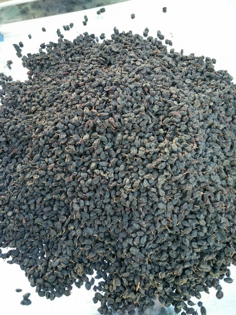 新疆黑加仑葡萄干批发零售